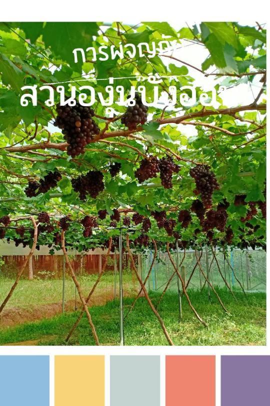 Bang Hon Homestay Ko Yao Noi Εξωτερικό φωτογραφία